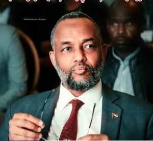 الوزير الاتحادي