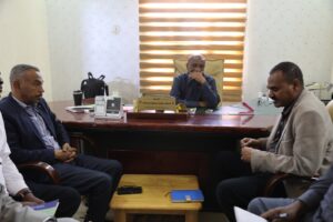 مالية التامين